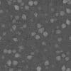 Desert Rocks PBR Texture - Image 4