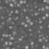 Desert Rocks PBR Texture - Image 5