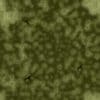 Green Creature Skin PBR Texture - Image 2