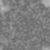 Green Creature Skin PBR Texture - Image 5