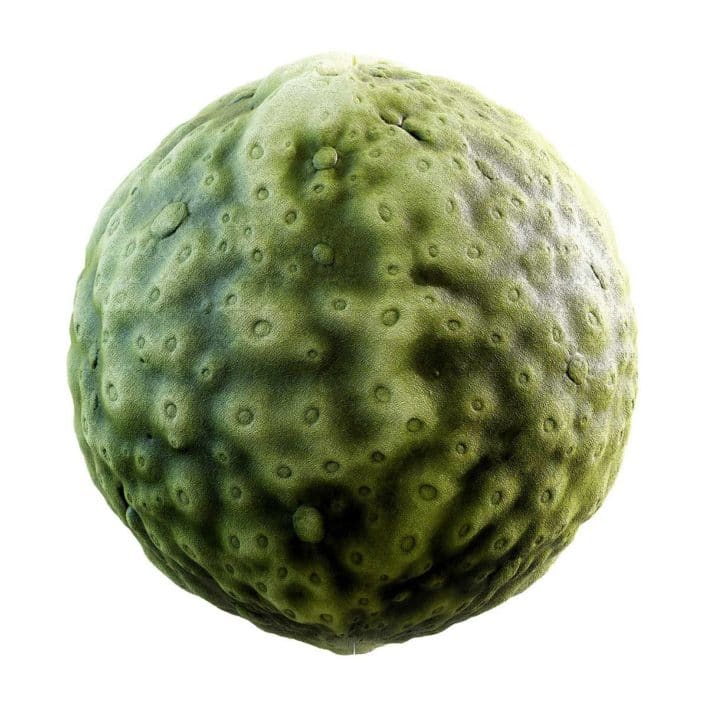 Green Creature Skin PBR Texture