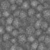 Green Creature Skin PBR Texture - Image 5