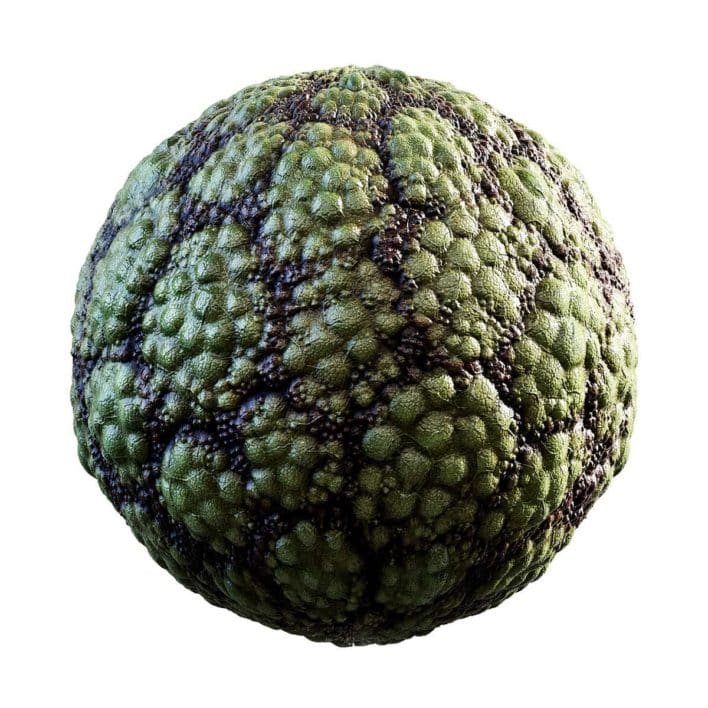 Green Creature Skin PBR Texture