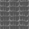 Insect Shell PBR Texture - Image 5