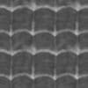 Insect Shell PBR Texture - Image 5