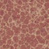 Meat PBR Texture - Image 2