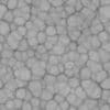 Meat PBR Texture - Image 5