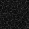 Meat PBR Texture - Image 9