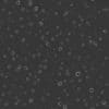 Metal with Bullet Holes PBR Texture - Image 8