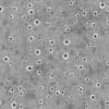 Metal with Bullet Holes PBR Texture - Image 8