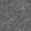 Metal with Bullet Holes PBR Texture - Image 9