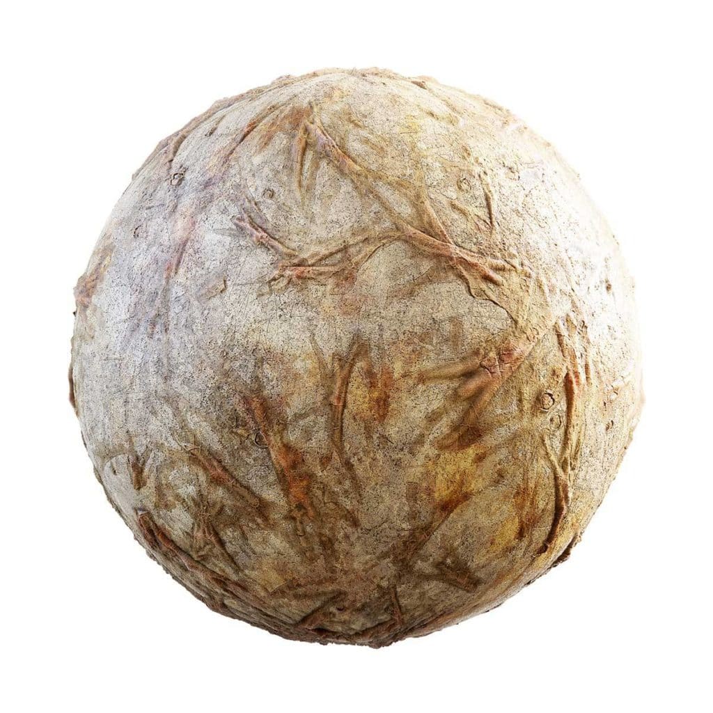 Old Bones with Skin PBR Texture