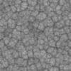 Old Gray Creature Skin PBR Texture - Image 5