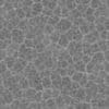 Old Gray Creature Skin PBR Texture - Image 9