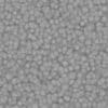 Red Creature Skin PBR Texture - Image 5