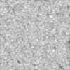 Red Guts PBR Texture - Image 4