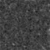 Red Guts PBR Texture - Image 9