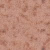 Skin Pores PBR Texture - Image 2