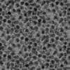 Stack of Skulls PBR Texture - Image 9