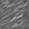 Twisted Tree Bark PBR Texture - Image 5