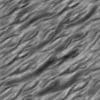 Twisted Tree Bark PBR Texture - Image 9