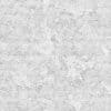 Wrinkled Skin with Crust PBR Texture - Image 3