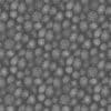 Yellow Creature Skin PBR Texture - Image 5