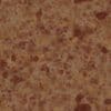 Zombie Skin PBR Texture - Image 2