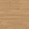 Elm Wood PBR Texture - Image 2