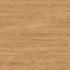Elm Wood PBR Texture - Image 2