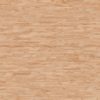 Maple Regular Floor PBR Texture - Image 2