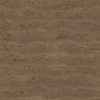 Pecan Wood PBR Texture - Image 2