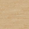 Plywood PBR Texture - Image 2
