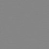 Poplar Wood PBR Texture - Image 5