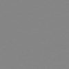 Poplar Wood PBR Texture - Image 5