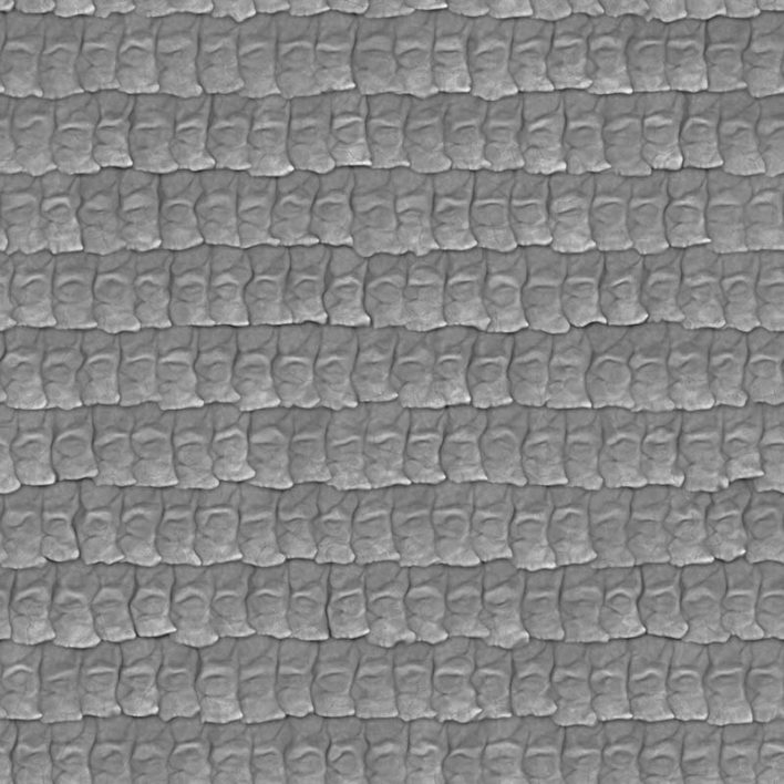 Crocodile Skin PBR Texture crocodile-skin-pbr-texture