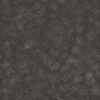 Elephant Skin PBR Texture - Image 2