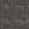 Elephant Skin PBR Texture - Image 2