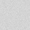 Fish Scales PBR Texture - Image 4