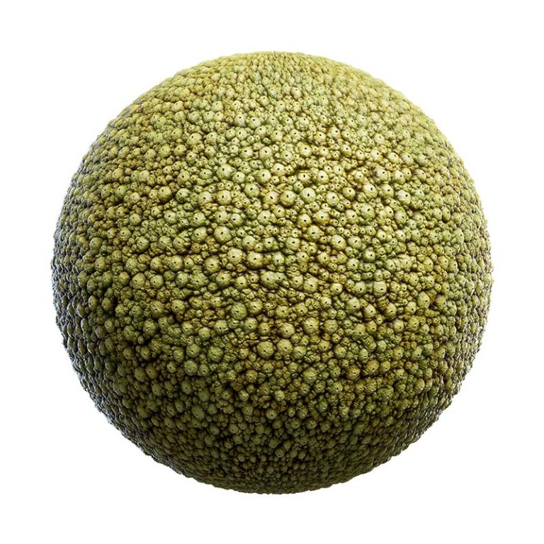 Frog Skin PBR Texture