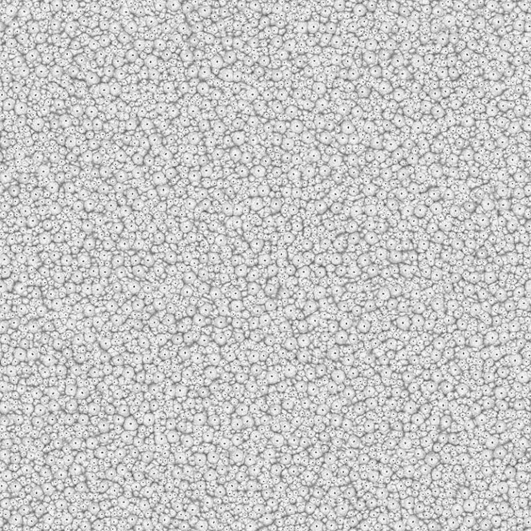 Frog Skin PBR Texture