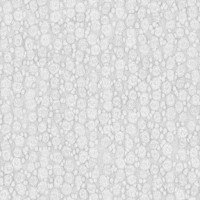 Frog Skin PBR Texture