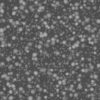Frog Skin PBR Texture - Image 5