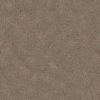 Horse Fur PBR Texture - Image 2