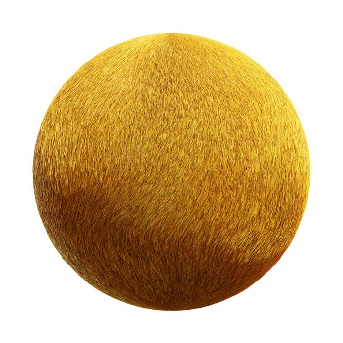 Lion Fur PBR Texture