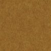 Lion Fur PBR Texture - Image 2