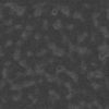 Lizard Skin PBR Texture - Image 9