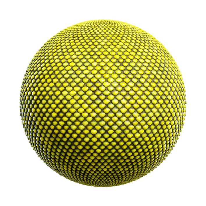 Lizard Skin PBR Texture