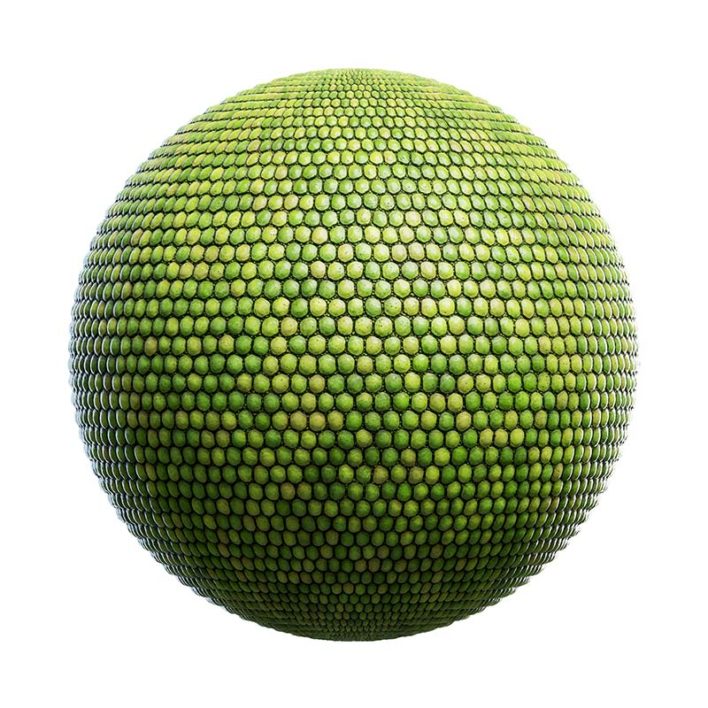 Lizard Skin PBR Texture