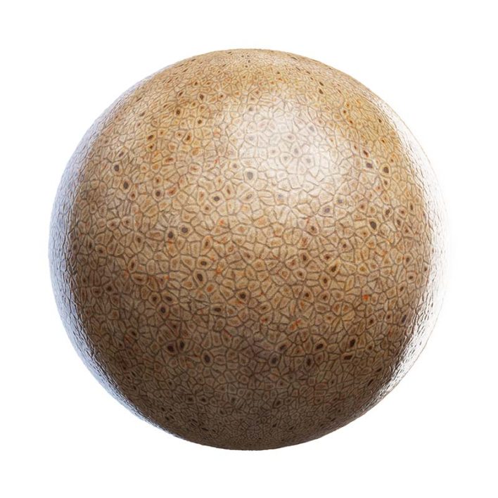 Octopus Skin PBR Texture